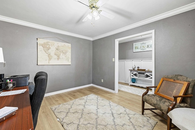 home office with light hardwood / wood-style flooring, ceiling fan, and crown molding