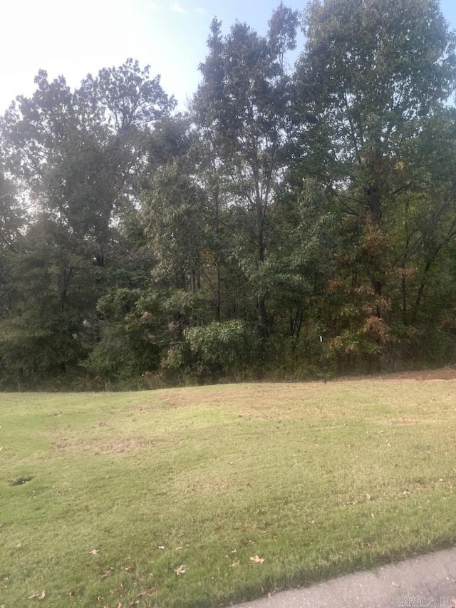 Listing photo 3 for 0 E Oaks Cv, Forrest City AR 72335