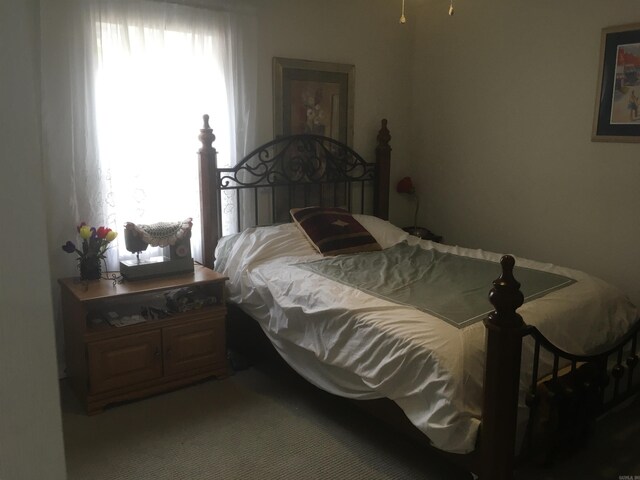 bedroom with carpet floors and multiple windows