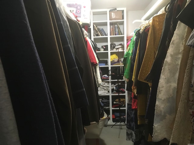 view of spacious closet