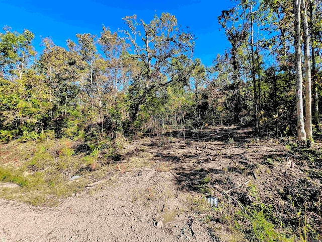 Listing photo 3 for LOT438 Canmore Dr, Briarcliff AR 72653