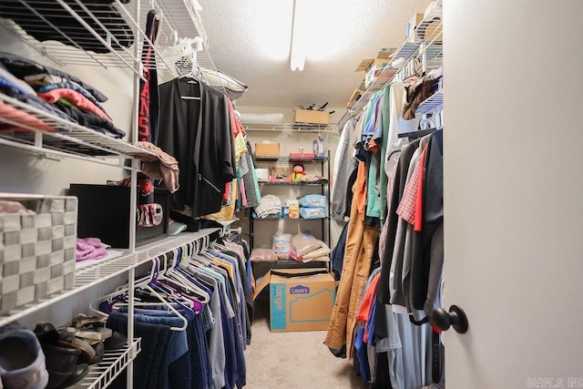 walk in closet with carpet flooring