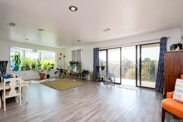 workout area featuring hardwood / wood-style floors and crown molding