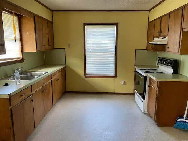 kitchen featuring sink, a textured ceiling, electric range, and ornamental molding