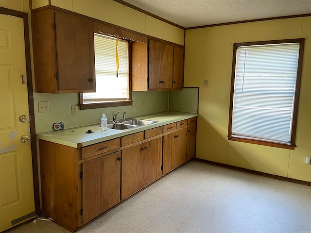 kitchen with sink, crown molding, and a textured ceiling