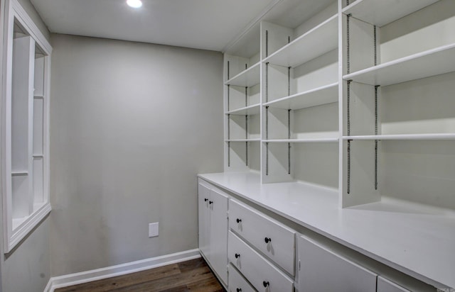 walk in closet with dark hardwood / wood-style flooring