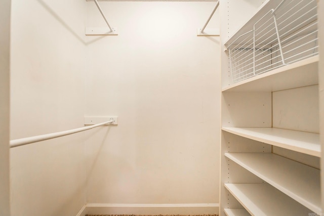 spacious closet with carpet floors