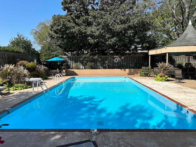 view of pool with a patio