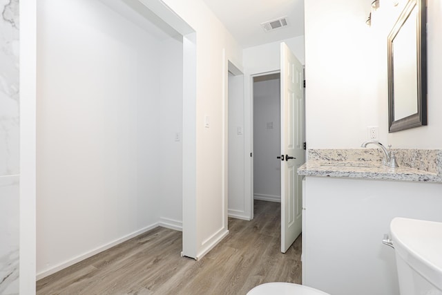 bathroom with vanity and wood-type flooring