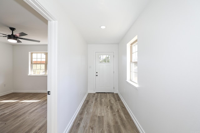 doorway with ceiling fan and light wood-type flooring