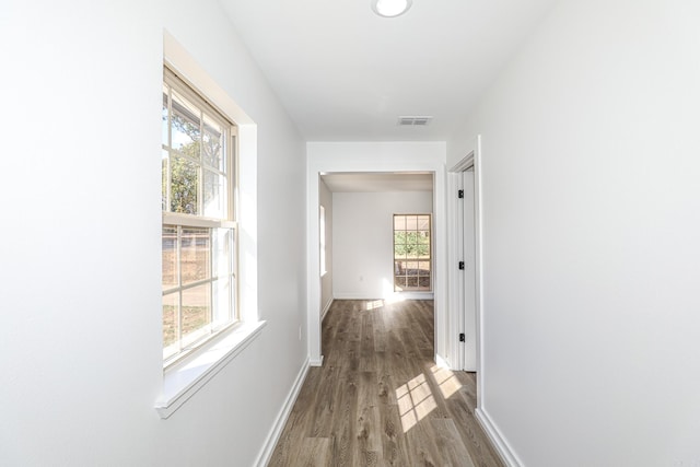 hall featuring dark hardwood / wood-style flooring and plenty of natural light