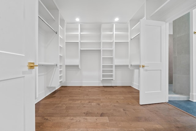 spacious closet featuring wood-type flooring