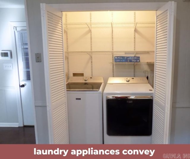 clothes washing area featuring washer and dryer and dark hardwood / wood-style flooring