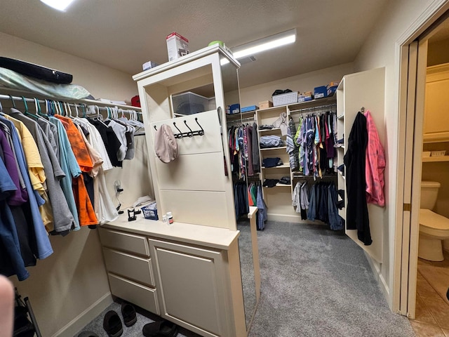 spacious closet with dark carpet