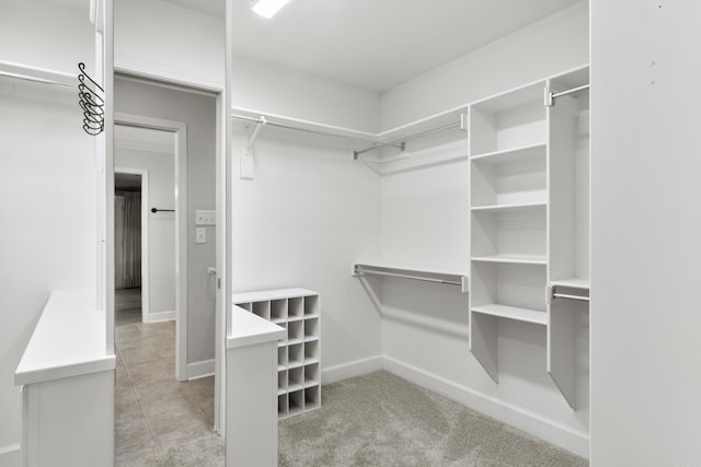 spacious closet featuring light colored carpet