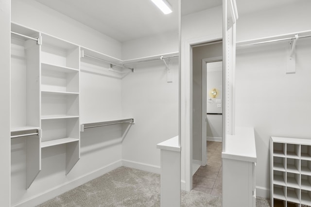 spacious closet with light carpet