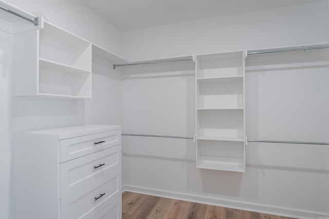 spacious closet featuring light wood-type flooring