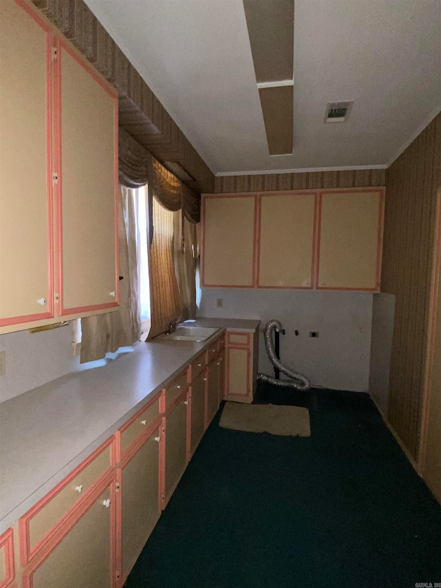 kitchen with carpet and sink