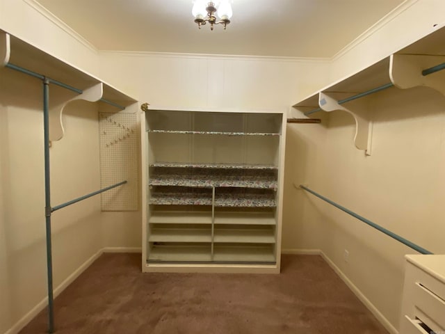 spacious closet with dark colored carpet