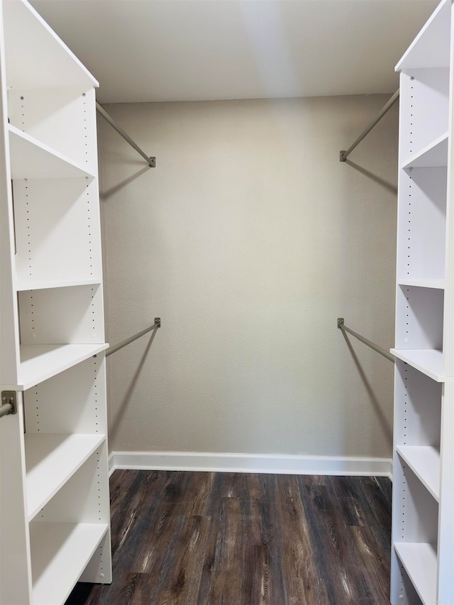 spacious closet featuring dark wood-type flooring