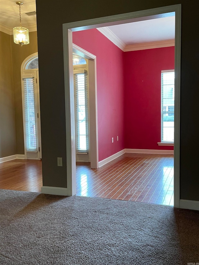 unfurnished room with wood-type flooring and plenty of natural light