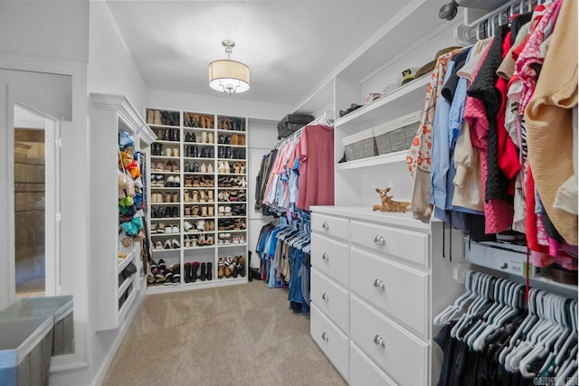 spacious closet with light carpet