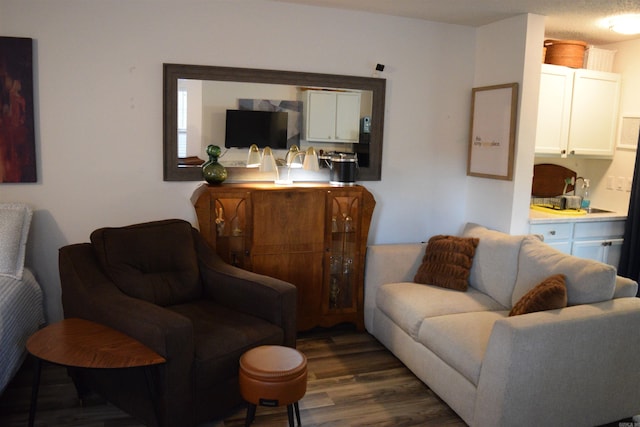 living room with dark hardwood / wood-style flooring