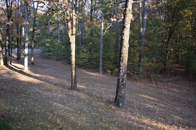 view of local wilderness