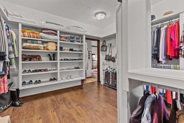 walk in closet featuring hardwood / wood-style flooring