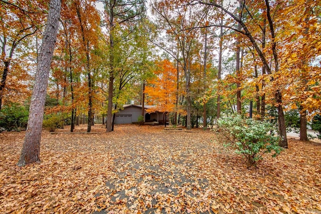 view of yard featuring a garage and an outdoor structure