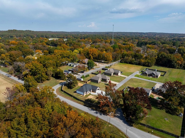 bird's eye view