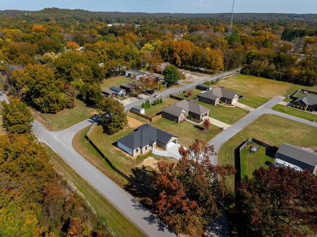 bird's eye view