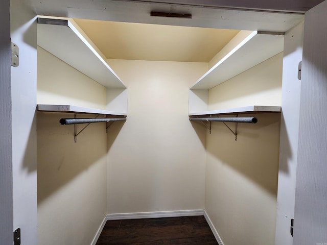 spacious closet featuring dark wood-type flooring