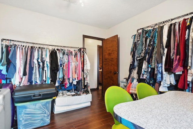 walk in closet featuring radiator and dark hardwood / wood-style floors