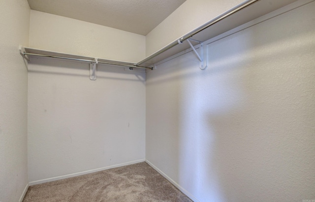 spacious closet with light colored carpet