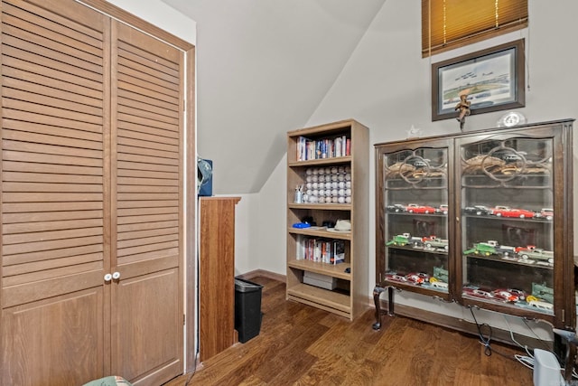 misc room featuring lofted ceiling and dark hardwood / wood-style floors