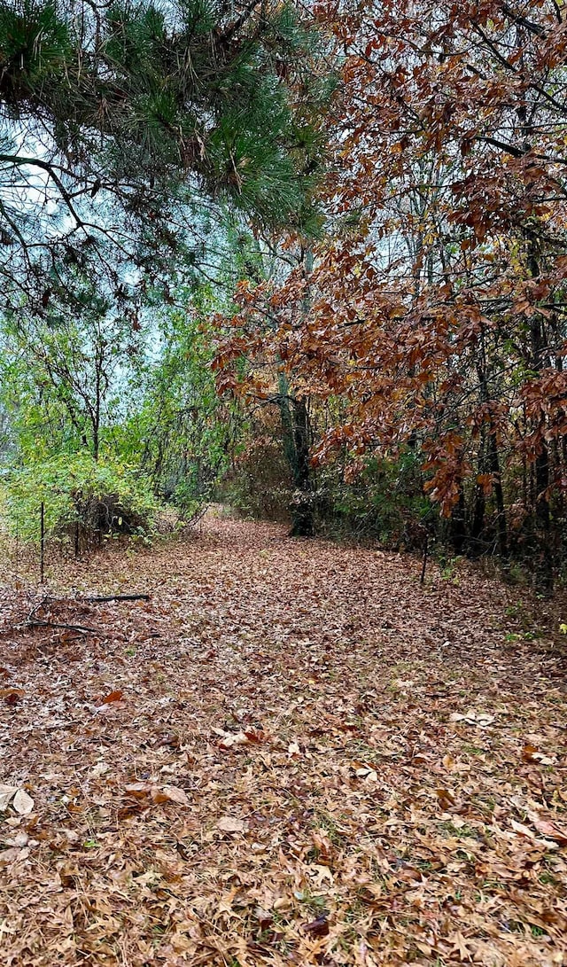 Listing photo 2 for TBD Polk Road 28, Hatfield AR 71945