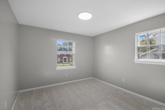 unfurnished room featuring a wealth of natural light and carpet floors