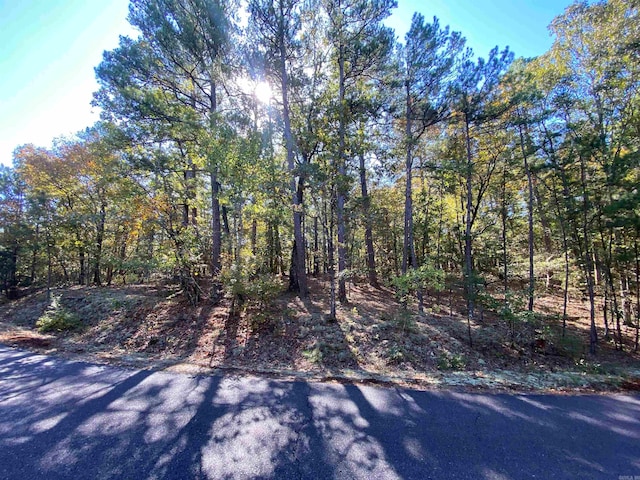 Address Not Disclosed, Hot Springs Village AR, 71909 land for sale