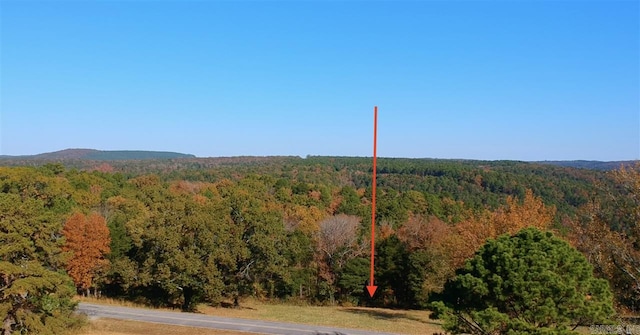 Listing photo 2 for 2.09ACRES Burnt Ridge Rd, Shirley AR 72153