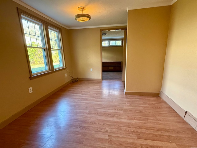 spare room featuring a textured ceiling, light wood-type flooring, and ornamental molding