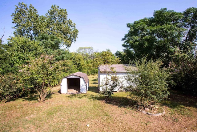 view of yard with a shed