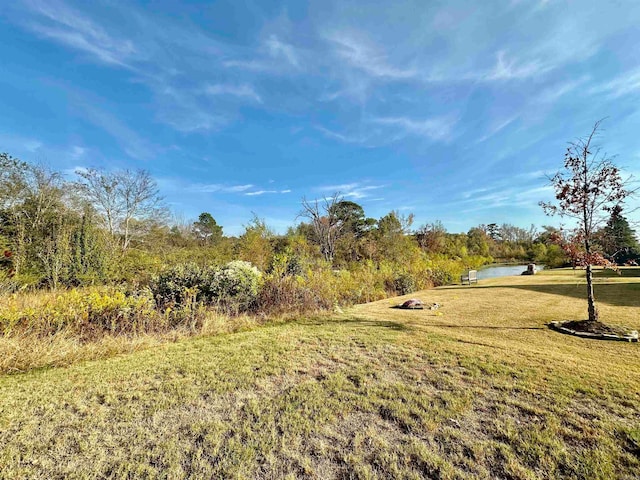 view of yard featuring a water view