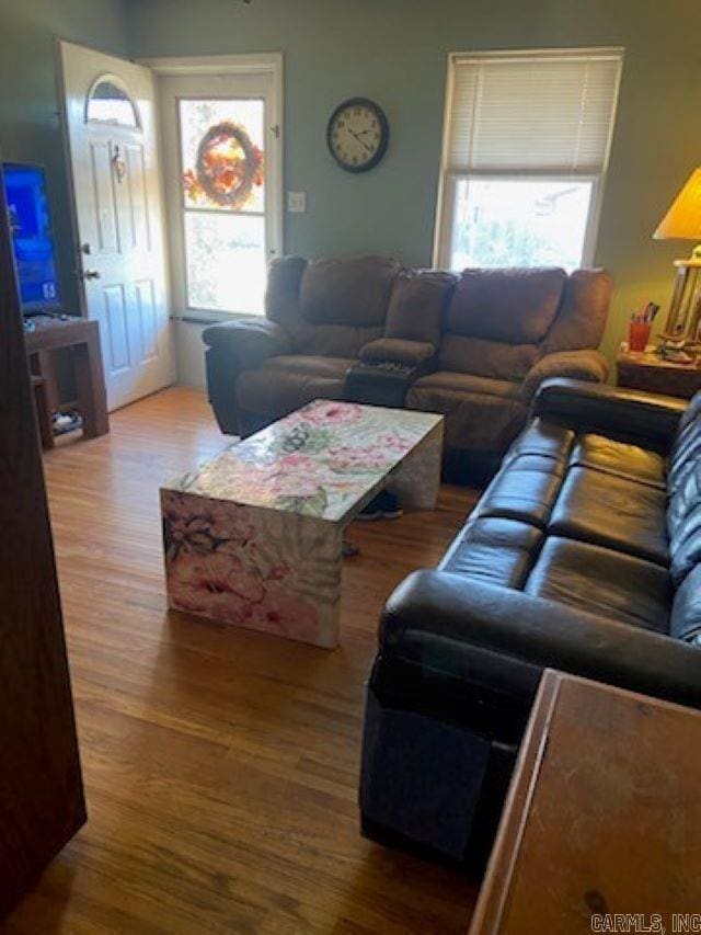 living room featuring hardwood / wood-style floors and a healthy amount of sunlight