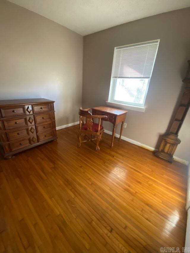 interior space with wood-type flooring