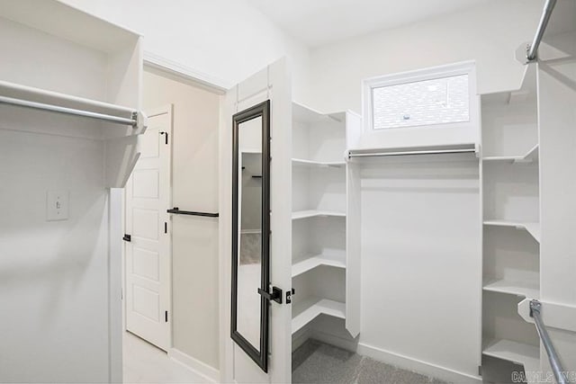 view of spacious closet