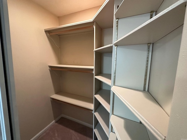 view of walk in closet