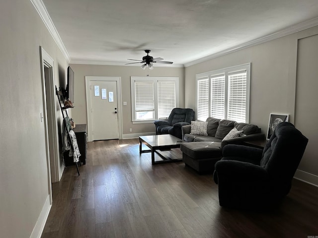 living room with crown molding, dark wood-type flooring, and ceiling fan