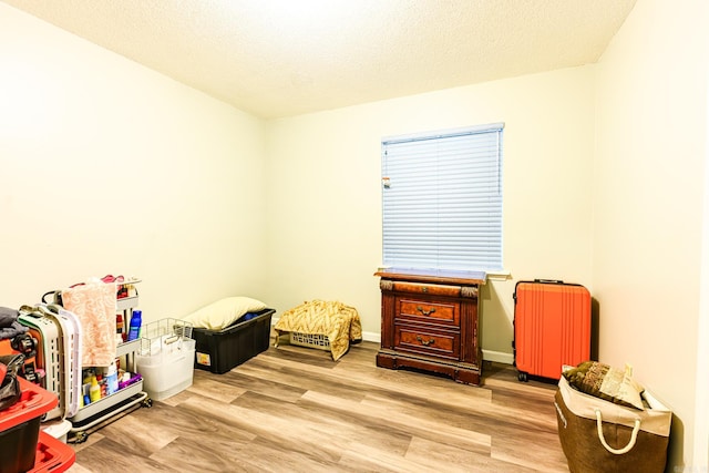 game room featuring a textured ceiling and light wood-type flooring