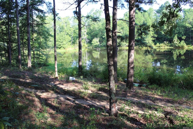 view of nature featuring a water view